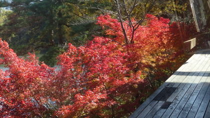 DSC09924.JPG