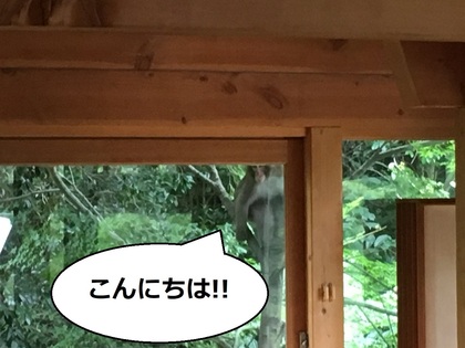 こんにちは.jpg