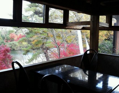 引越当時の紅葉.jpg