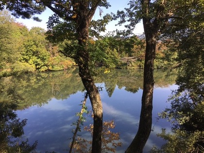 池のほとり5.jpg