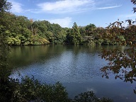 池のほとり1.jpg