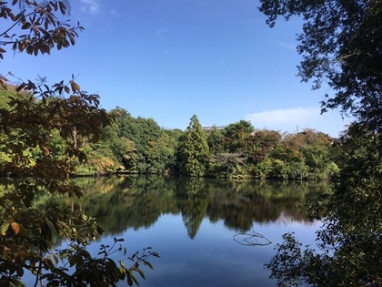 池のほとり4.jpg
