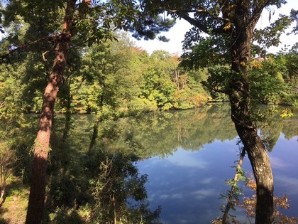 池のほとり6.jpg