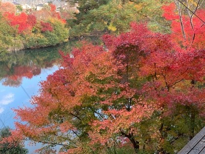 H30 11月30日 紅葉.jpg